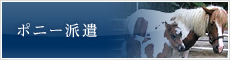 ポニー派遣