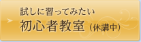 試しに習ってみたい 初心者教室