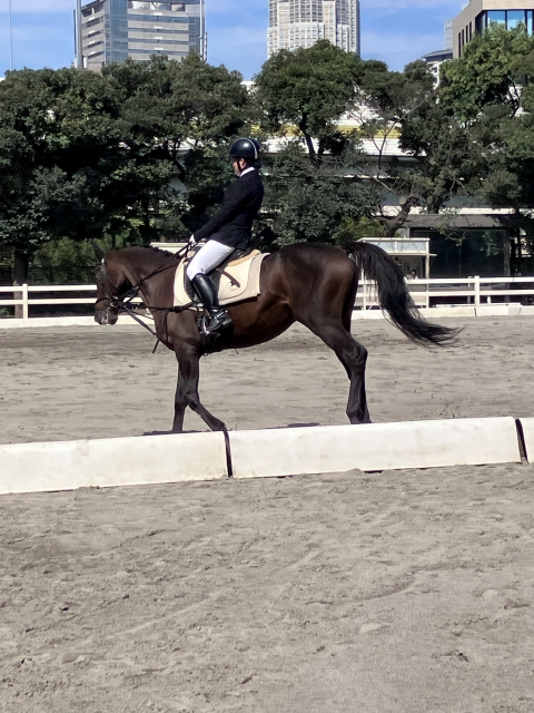 橋本香織 (12).jpg